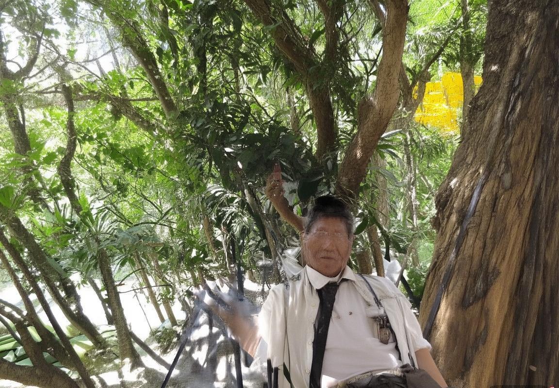 福冈黄蜂VS广岛三箭：对决分析及胜负预测